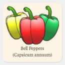 Search for green pepper stickers Bell peppers