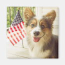 Search for corgis magnets Pet