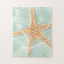 Search for sea shell puzzles Star fish