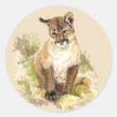 Search for mountain lion stickers Nature