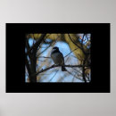 Search for chickadee art Nature