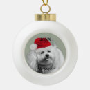 Search for bichon frise christmas tree decorations Animal