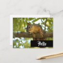 Search for funny wildlife postcards Cute
