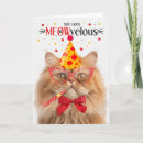 Search for orange cat birthday cards Cats