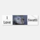 Search for love birds bumper stickers Nature