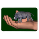 Search for conservation magnets Protect