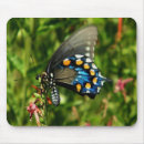 Search for invertebrate mousepads Wildlife