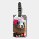 Search for blanca accessories Ancash