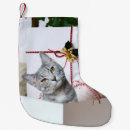 Search for grey cat christmas stockings Animal