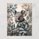 Search for cute koala postcards Australian animal