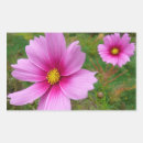Search for cosmos flower stickers Pink