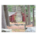 Search for cabin wall posters Woods