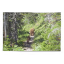 Search for brown bear pillowcases Wildlife