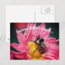 Search for embrace postcards Nature