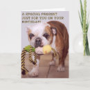 Search for purebreed Pets