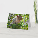 Search for thought image photography Animal