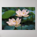 Search for hangzhou art Bloom