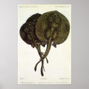 Search for stingray posters Retro