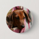 Search for smooth badges Dog