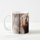 Search for cute koala bear mugs Wildlife