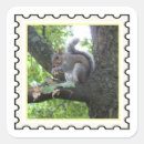 Search for squirrel picture stickers Autumn