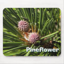 Search for purple tree mousepads Trees
