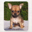 Search for little brown mousepads Baby