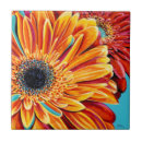 Search for botanical tiles Petals