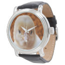 Search for chicken watches Bird