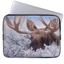 Search for wyoming electronics Grand teton