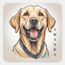 Search for collar stickers Labrador retriever