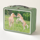 Search for best friends lunch boxes Funny