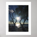 Search for shores photography Beach