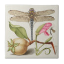 Search for insect tiles Bugs