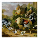 Search for rooster posters Landscape