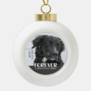 Search for cat memorial christmas tree decorations Sympathy
