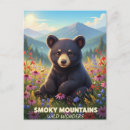Search for wonders postcards Scenic