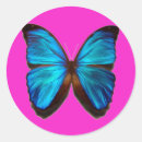 Search for morphos stickers Butterfly