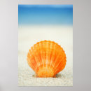 Search for scallop posters Nautical