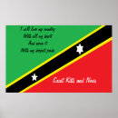 Search for kittes posters Nevis