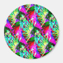 Search for hawaii magnets Blue