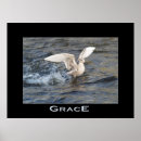 Search for shore birds posters Sea