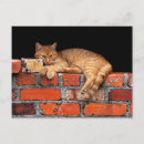 Search for bricks postcards Orange
