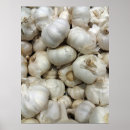 Search for garlic posters Photograph