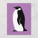 Search for black and white penguin postcards Cute