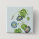 Search for glories badges Botanical