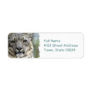 Search for big cat return address labels Leopard