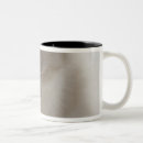 Search for sleeping kitten mugs Studio shot