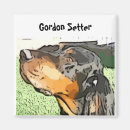 Search for setter magnets Animal