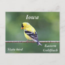 Search for iowa shape postcards Nature